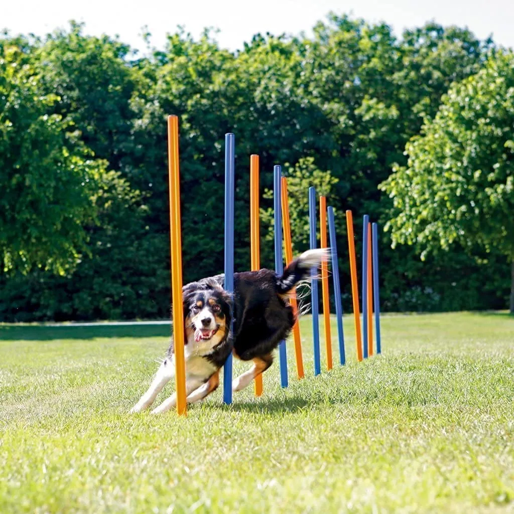 Pawise Hunde Agility Slalom 12 stk pæle - sjov hundetræning